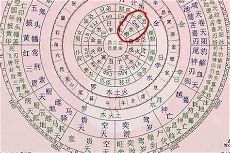 今天的八字|今日出生是什么命